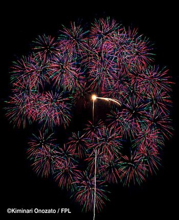 floral shell of shells_stanied glass